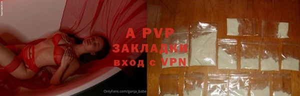 ПСИЛОЦИБИНОВЫЕ ГРИБЫ Краснослободск