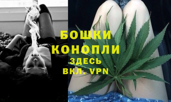 шишки Кукмор
