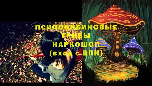 шишки Кукмор