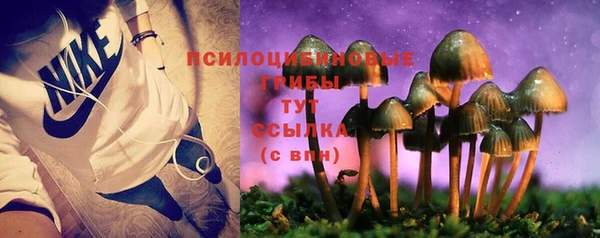 ПСИЛОЦИБИНОВЫЕ ГРИБЫ Краснослободск